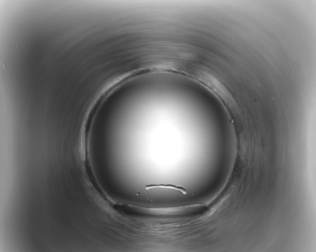 X0000089431036200706221207