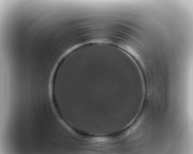 X0000089431037200706221207