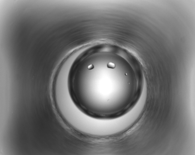 X0000089431038200706221207