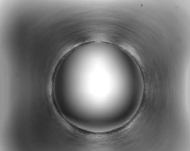 X0000089431040200706221207