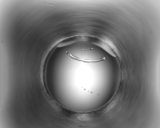 X0000089431043200706221207