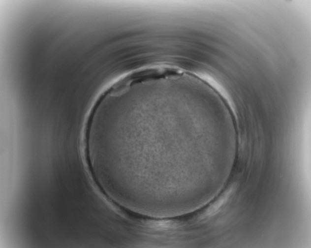 X0000089431045200706221208