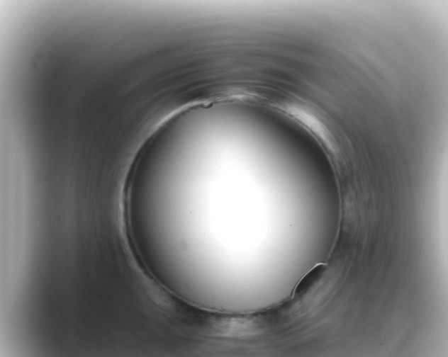 X0000089431047200706221208