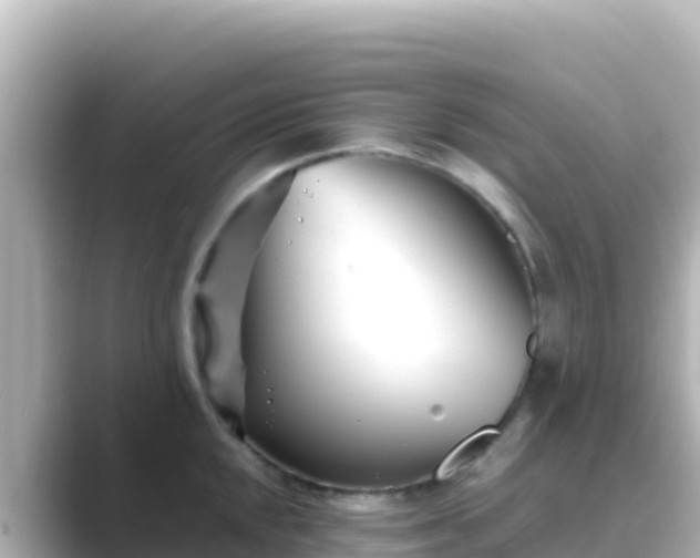X0000089431048200706221208