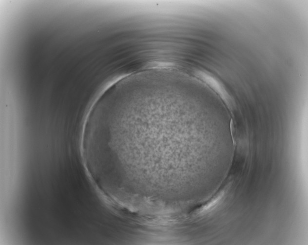 X0000089431050200706221208