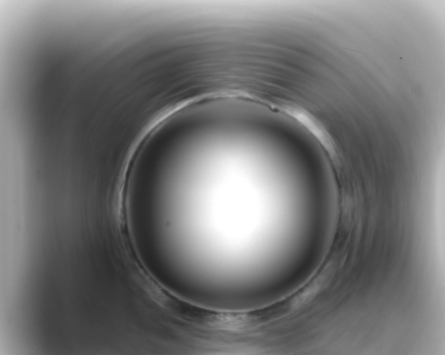 X0000089431052200706221208