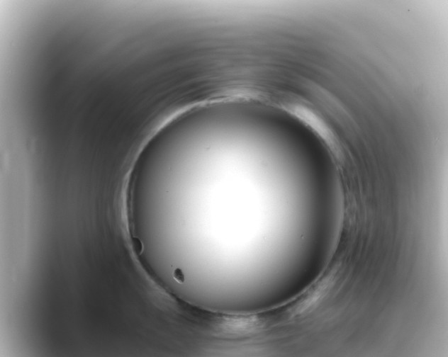 X0000089431055200706221208