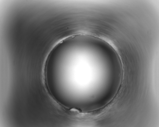 X0000089431056200706221208