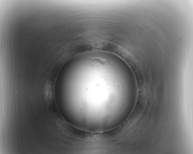 X0000089431058200706221207