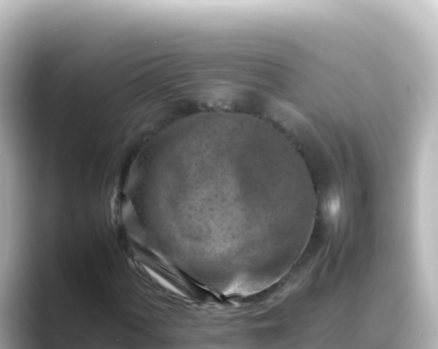 X0000089431060200706221207