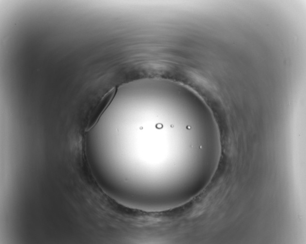 X0000089431061200706221207