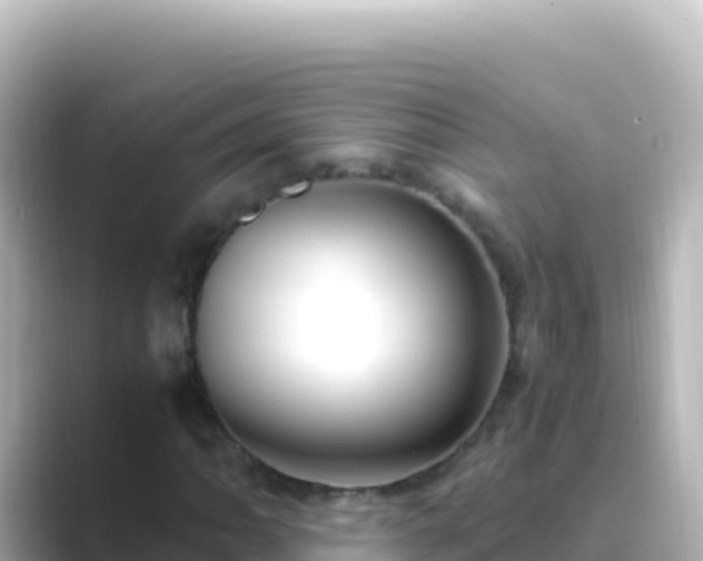X0000089431062200706221207