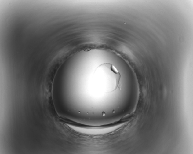 X0000089431064200706221207