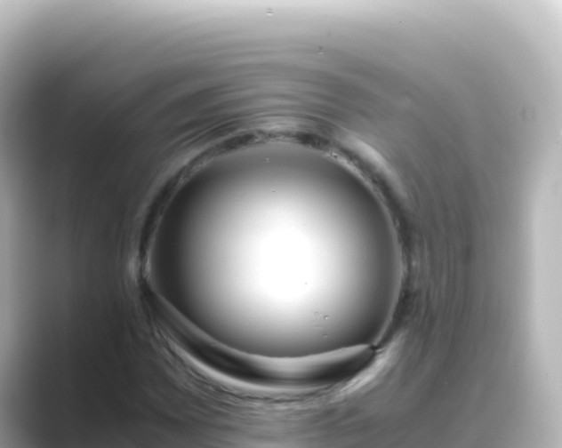 X0000089431065200706221207