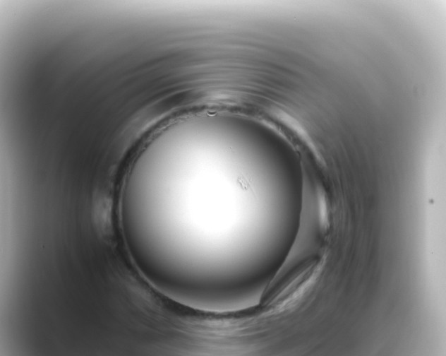 X0000089431066200706221207