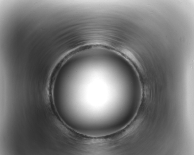 X0000089431068200706221207