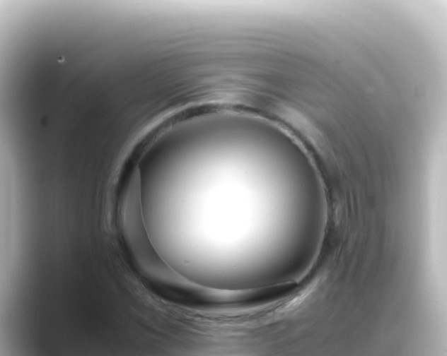 X0000089431069200706221207