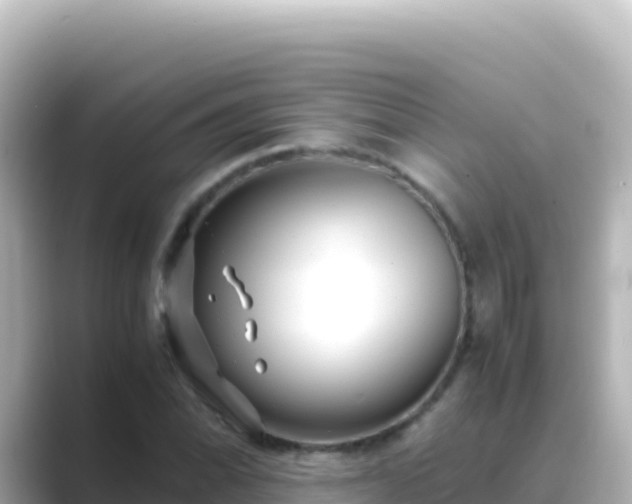 X0000089431070200706221207