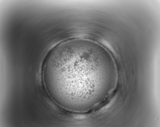 X0000089431071200706221207