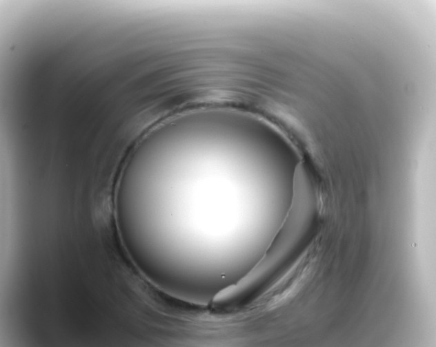 X0000089431073200706221207