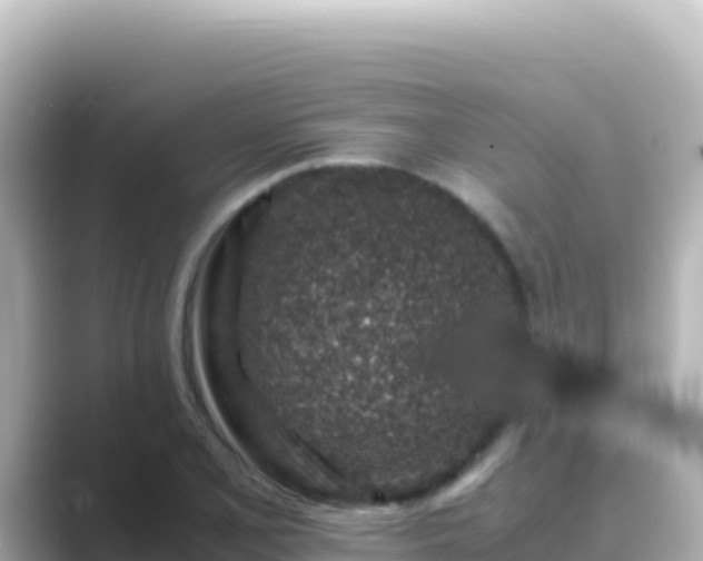 X0000089431077200706221207
