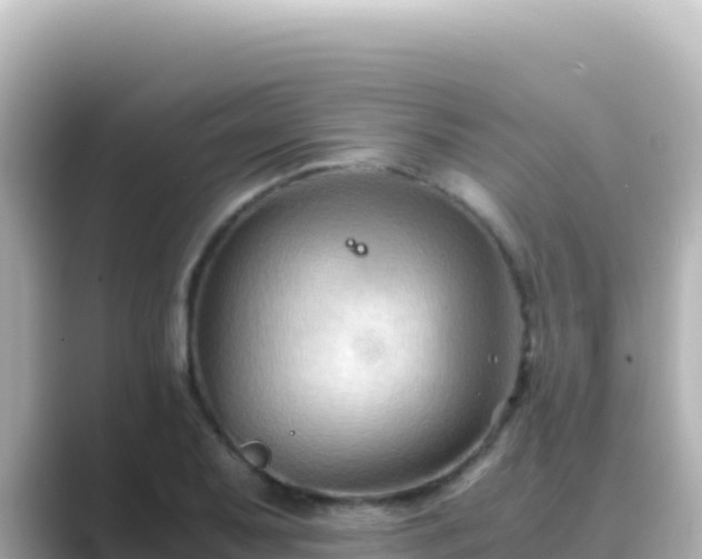 X0000089431079200706221207