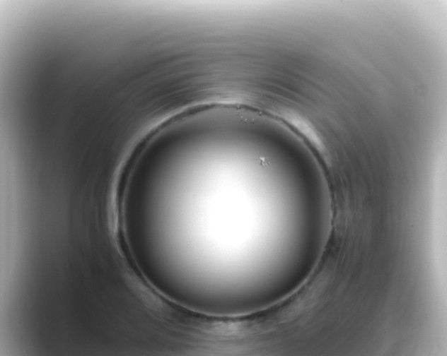 X0000089431080200706221207