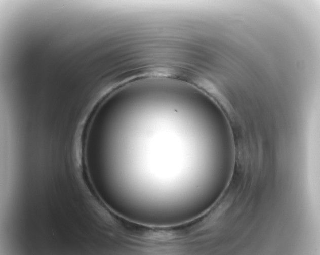 X0000089431083200706221207