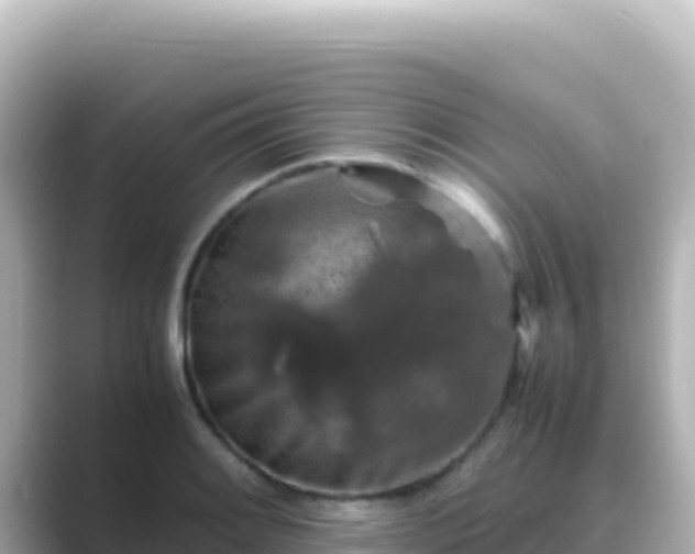 X0000089431084200706221207