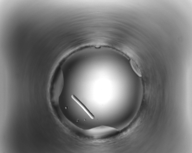 X0000089431085200706221207