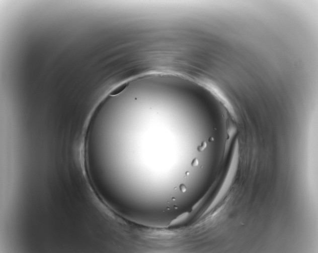 X0000089431100200706221207