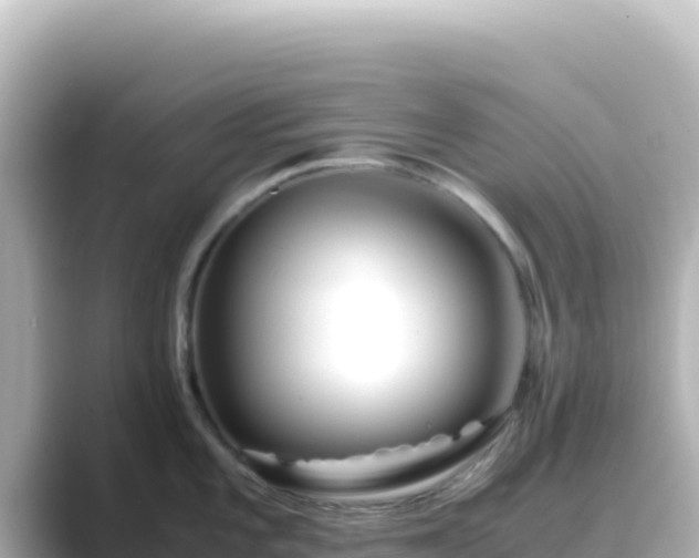 X0000089431101200706221207