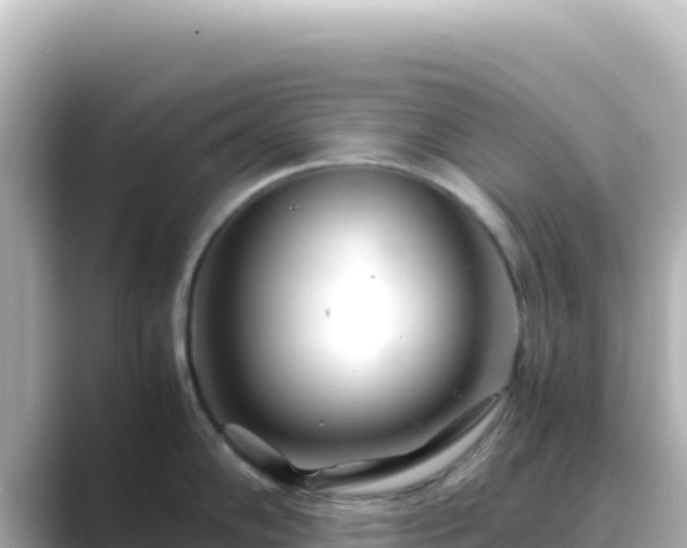 X0000089431102200706221207