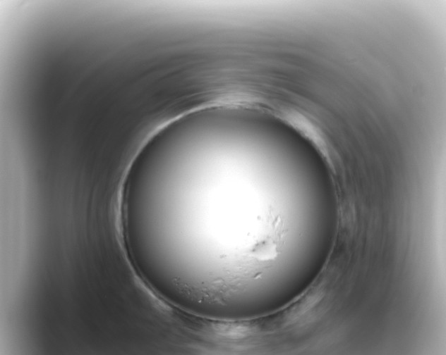 X0000089431103200706221207