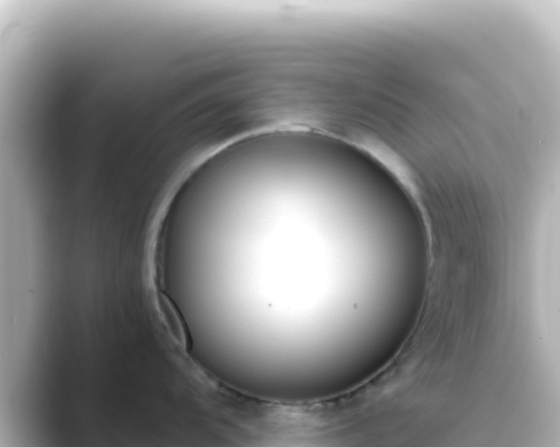 X0000089431104200706221207