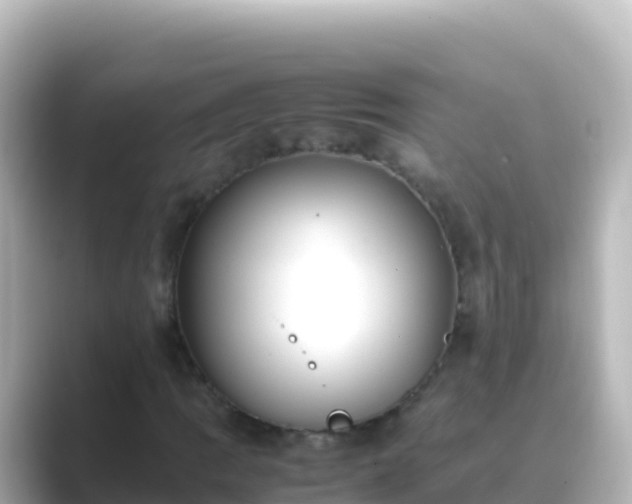 X0000089431109200706221206