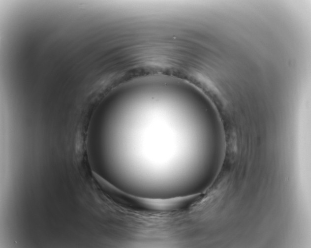 X0000089431110200706221206