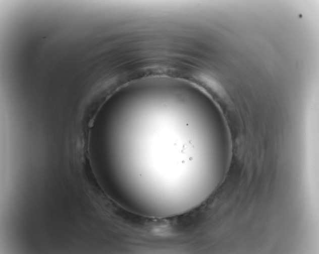 X0000089431111200706221206