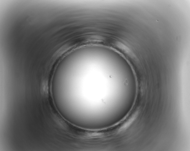 X0000089431113200706221206