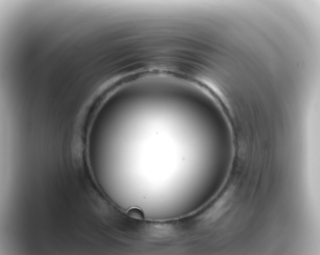 X0000089431115200706221206