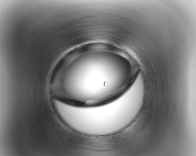 X0000089431116200706221206