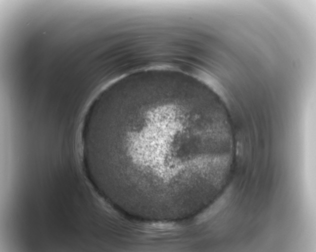 X0000089431117200706221206