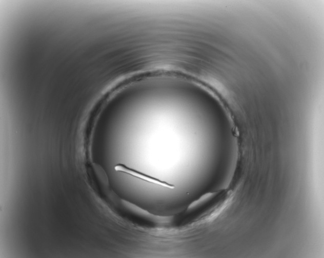 X0000089431118200706221206