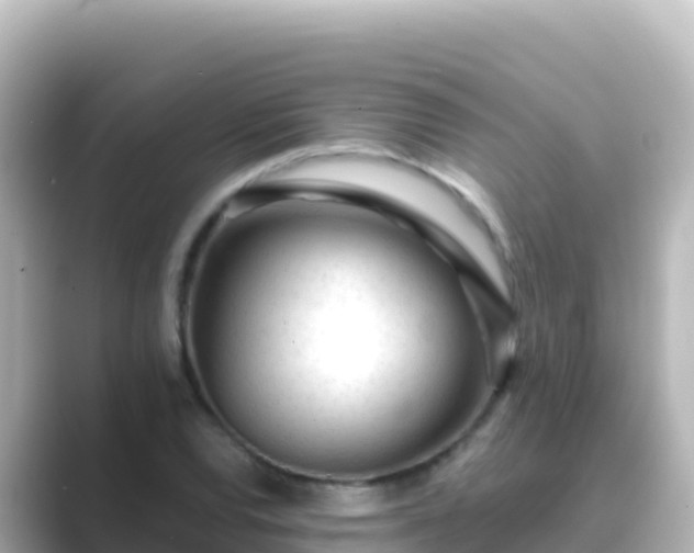 X0000089431120200706221206