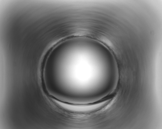 X0000089431122200706221206