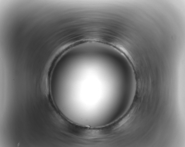 X0000089431123200706221206