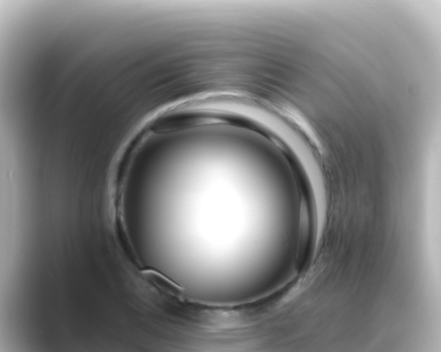 X0000089431124200706221206