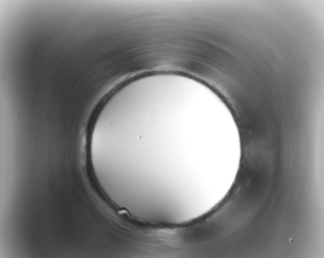 X0000089431126200706221206