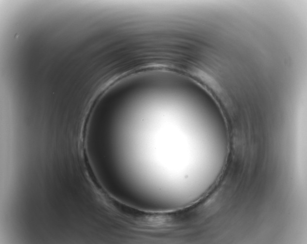 X0000089431129200706221206