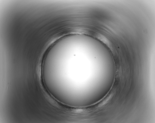 X0000089431130200706221206